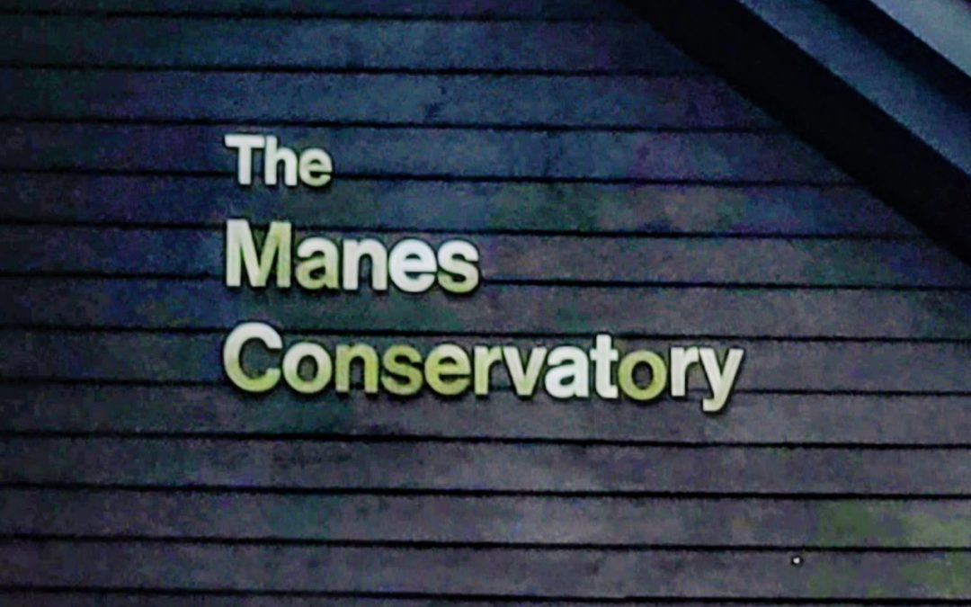 Manes Peace Prize Foundation Donates $250,000, To Establish And Fund Conservatory