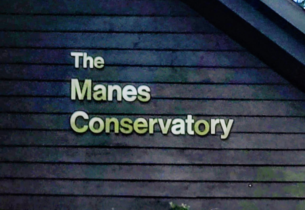 20260714_175448~4 The Manes Peace Prize Foundation donated $500,000 to the Museum at Bethel Woods to establish and fund The Manes Conservatory, an arts education program that provides young students with opportunities to study music and the arts.